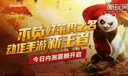 爆料功夫视频大全,揭秘武术传奇，领略中华武术风采