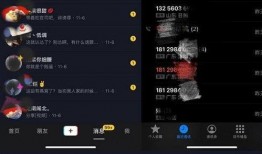 辛巴事件最新爆料视频,最新爆料视频揭露惊人内幕